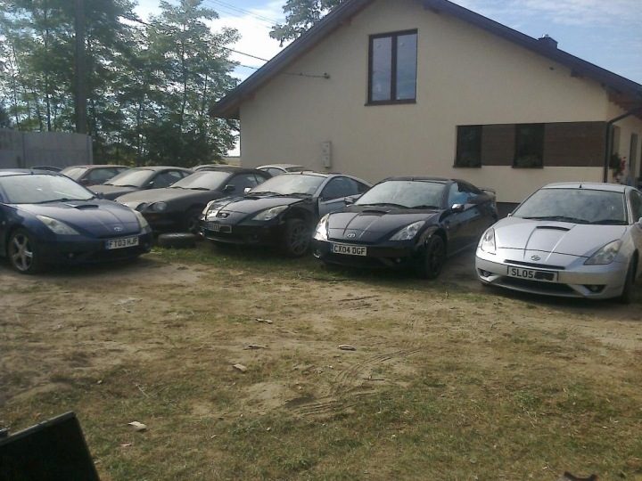 TOYOTA CELICA VI 6 полка багажника, фото 13