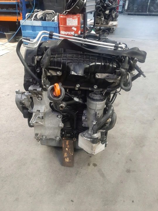 SEAT LEON II 2005- ДВИГАТЕЛЬ ДИЗЕЛЬ BKD 2.0 16V TDI 186.000 л.с., фото 4