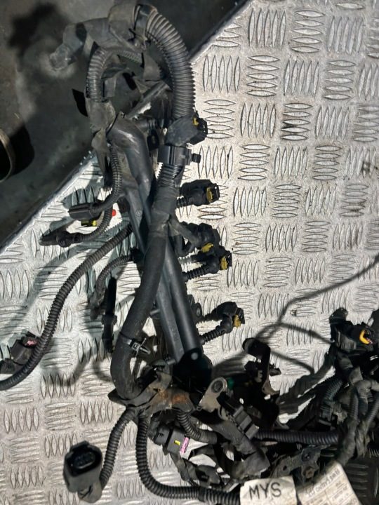 Проводка двигателя Opel OE 00552186820, фото 2