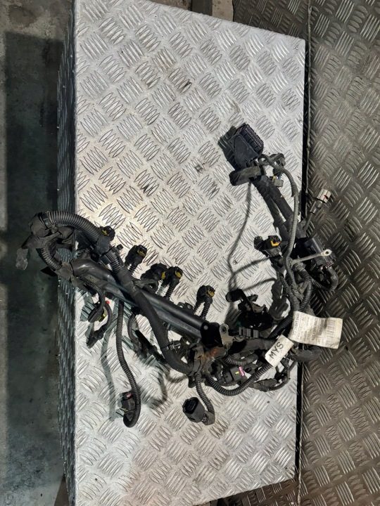 Проводка двигателя Opel OE 00552186820, фото 1
