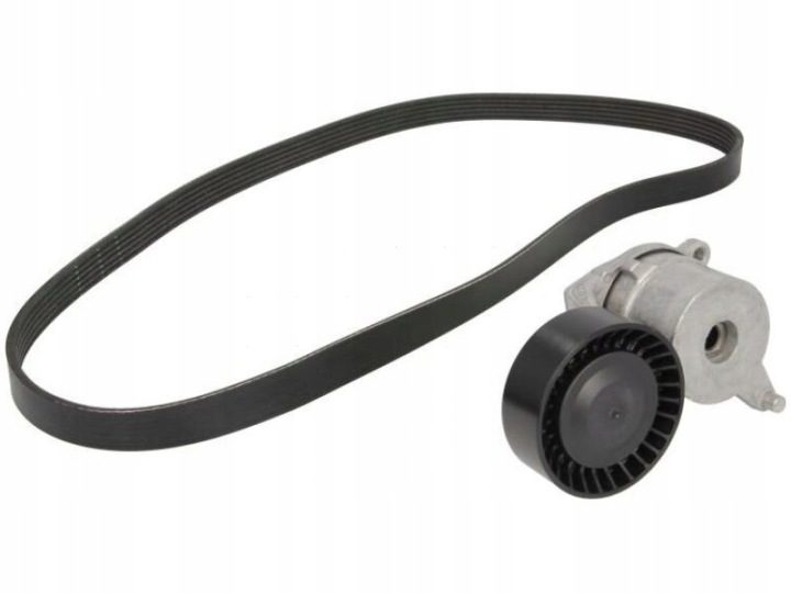 Schaeffler INA 529 0262 10 Комплект ремня поликлинового, фото 1