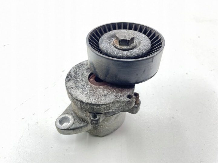 Opel OE 55 562 864 натяжитель приводного ремня поликлинового, фото 1