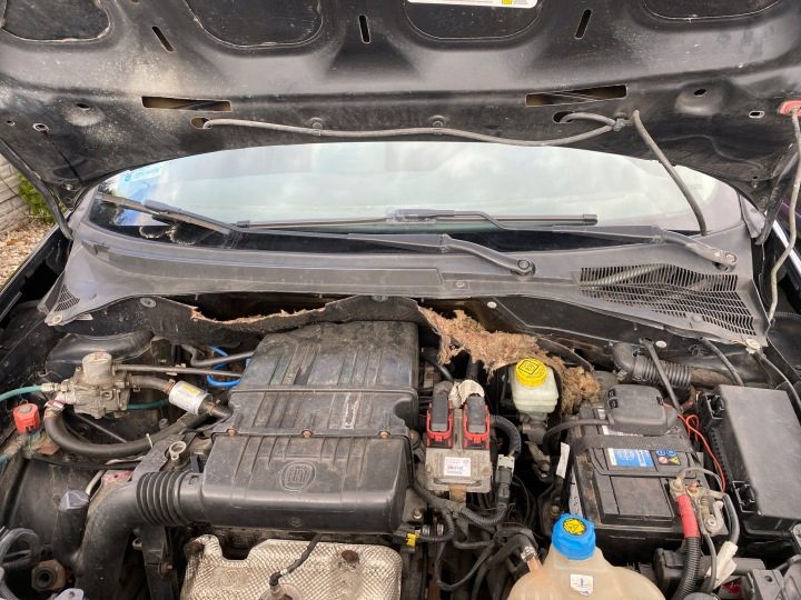 Fiat Grande Punto 05-12 ЖАБО, фото 1