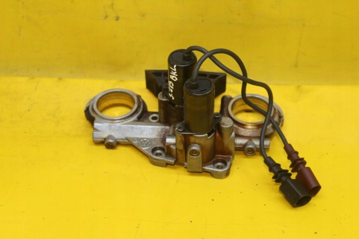 НАТЯЖИТЕЛЬ АКТУАТОР ГРМ PHAETON 3.2 FSI BKL 066109210J, фото 1