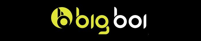 Осушитель для автомобилей BigBoi 2x1600W с пультом и wężem 9 м, фото 14