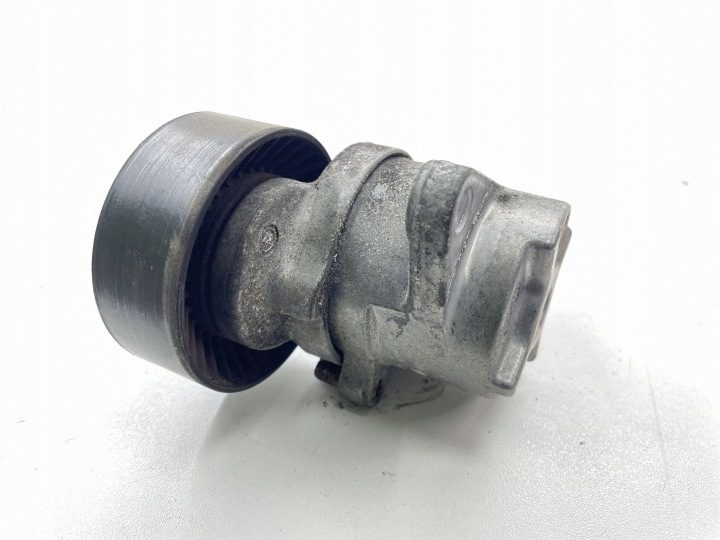 Opel OE 55 562 864 натяжитель приводного ремня поликлинового, фото 4