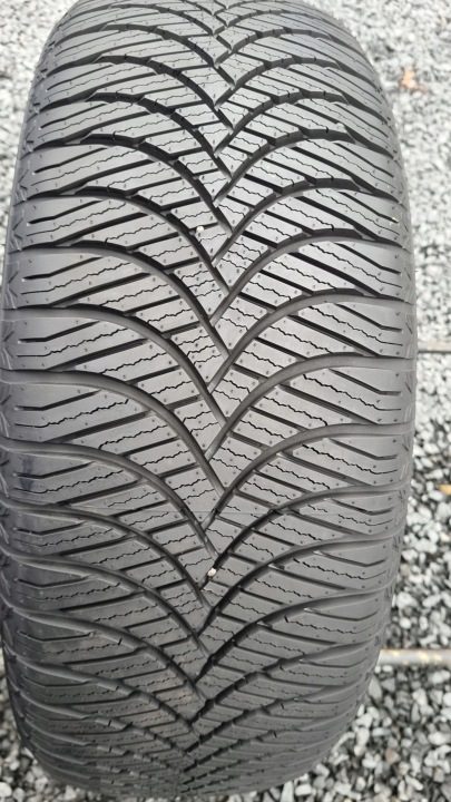 Шина всесезонная Goodride All Season Elite Z-401 225/50R18 95 Вт защита диска, фото 1