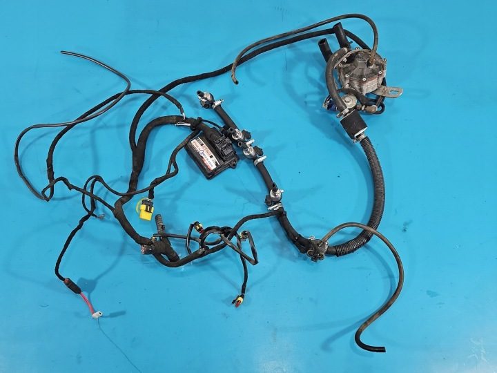 ГБО LPG ГАЗА STAG 4 QBOX BASIC, фото 1
