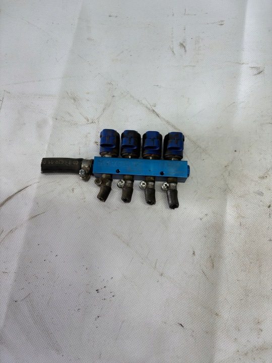 ФОРСУНКИ ГАЗА МОЛДИНГ ГБО HERCULES BLUE 67R-011030 110R-011087 4 цил., фото 1