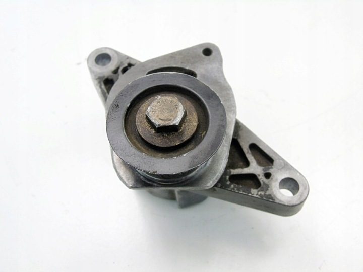 НАТЯЖИТЕЛЬ РЕМНЯ 1.4 8V 206 307 PARTNER BERLINGO 106 XSARA SAXO C3 9638976580, фото 2