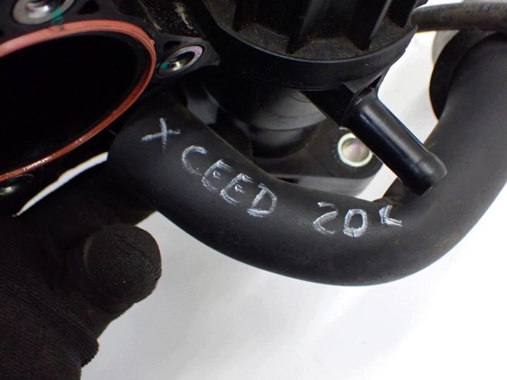 Впускной коллектор оригинал 28300-04550 KIA Ceed III Xceed 1.0 T-GDI G3LC 20 г., фото 10