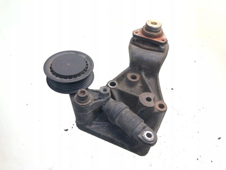 2002 Volkswagen II LT Натяжитель ремня генератора 074145169C, фото 1