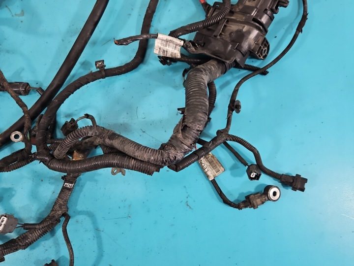 ГБО LPG ГАЗА STAG 4 QBOX BASIC, фото 12