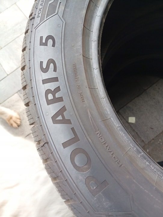 Шина зимняя Barum Polaris 5 215/60R17 100 В защита диска, усилитель (XL), фото 5