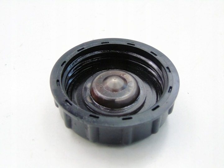 Крышка гидроусилителя 1.6 16V Duster Logan Sandero Oroch Thalia Clio 3 Megane, фото 4