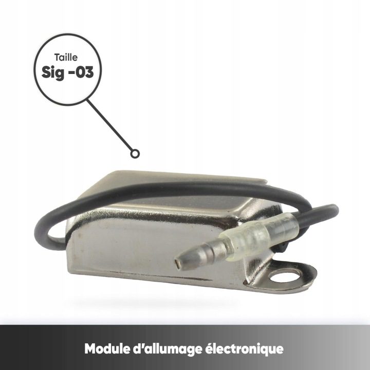 GREENSTAR Модуль зажигания SIG-03 для двигателей 2 i 4-suwowych, фото 2
