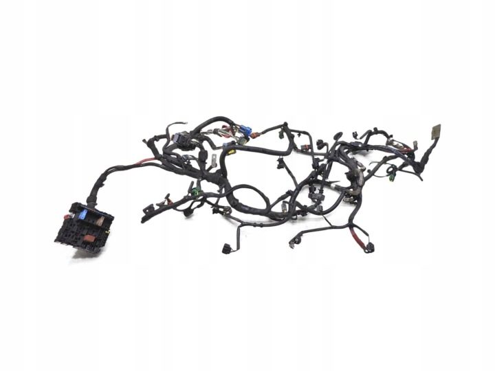 Жгут проводки двигателя Renault Laguna III 2.0 DCI 240110092R, фото 1