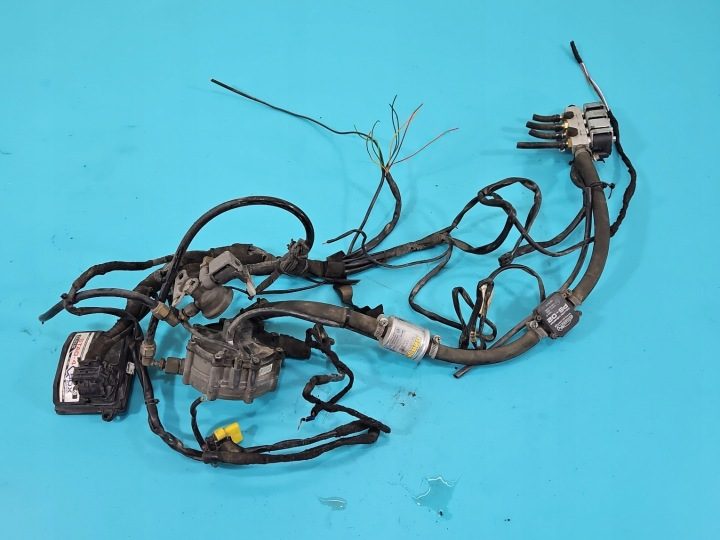 ГБО LPG ГАЗА STAG-4 QBOX BASIC STAG 4, фото 1