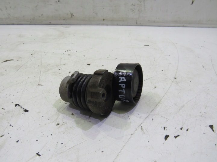 Ролик натяжитель 0.9TCE Renault Clio IV 117506193R, фото 2