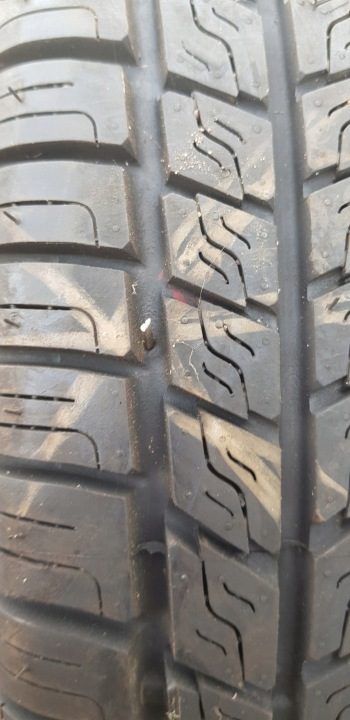 Шина всесезонная Pirelli P2500 Euro 165/65R14 79 т, фото 2