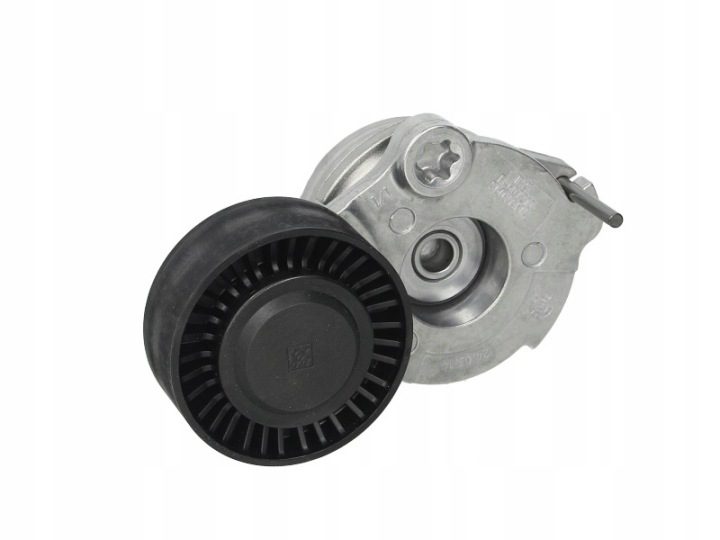 Schaeffler INA 534 0470 10 Натяжитель приводного ремня поликлинового, фото 1