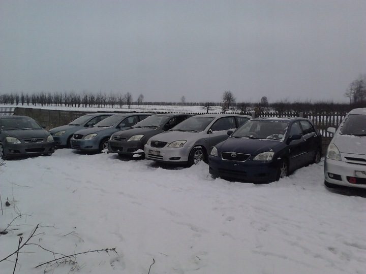 Toyota Corolla E12 полка задняя багажника, фото 14