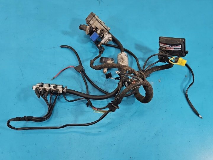 ГБО LPG ГАЗА STAG4 QBOX BASIC, фото 1