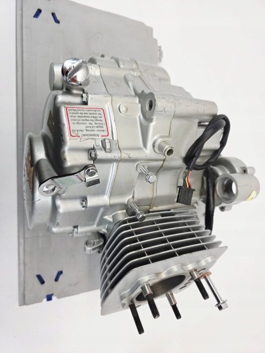 Двигатель 250 Квадроцикл ATV 167FMM Shineray Bashan Romet KINGWAY LONCIN 250 STXE, фото 8