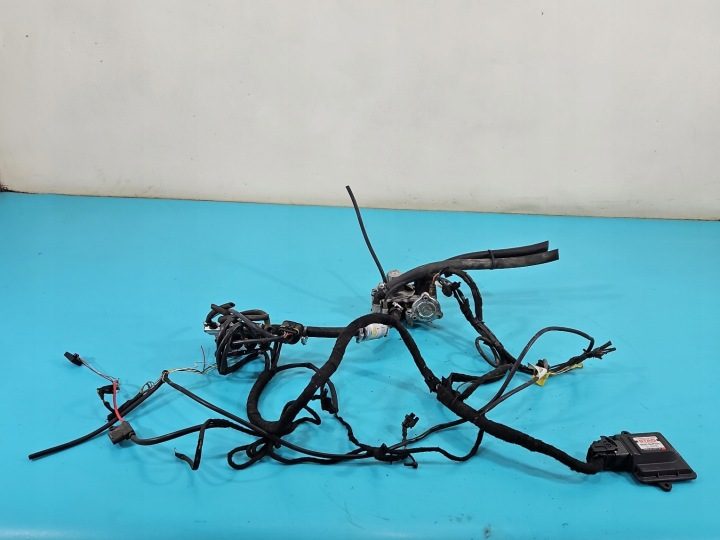 ГБО LPG ГАЗА STAG 4 200 GOFAST, фото 1