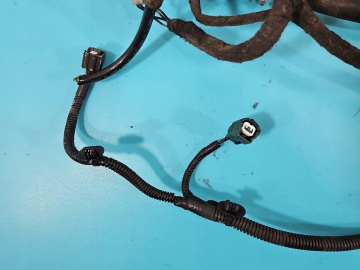 ГБО LPG ГАЗА STAG 4 QBOX BASIC, фото 8