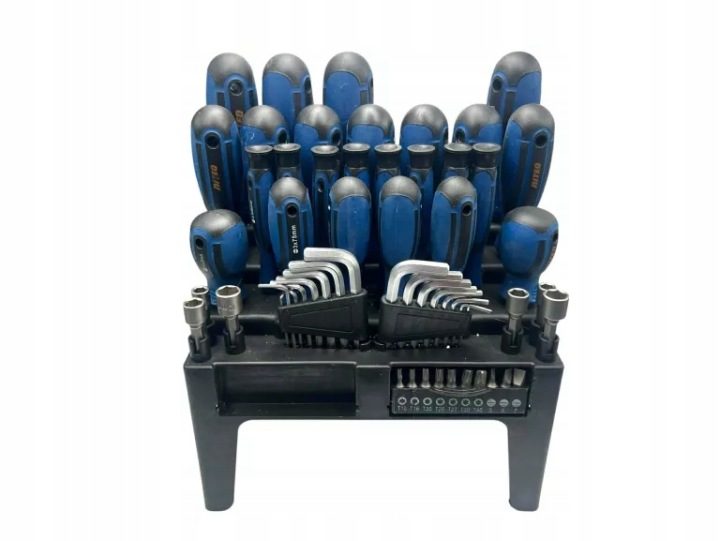 Комплект wkrętaków70 эл. NITEO подставка БИТЫ wkrętaki TORX шестигранник, фото 5