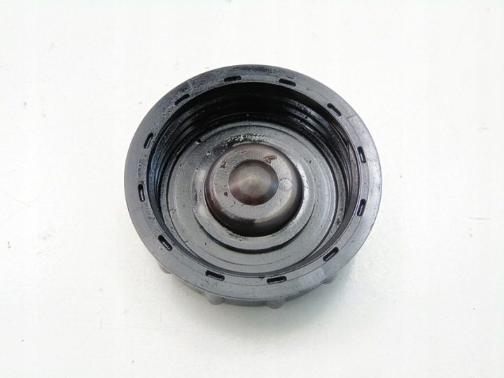 Крышка гидроусилителя 1.6 16V Duster Logan Sandero Oroch Thalia Clio 3 Megane, фото 2