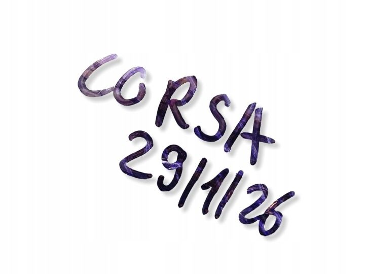 Opel Corsa F Руль, фото 10