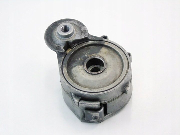 FORD 2.0 TDCI EUR.5 16183P - Натяжитель ремня, фото 2