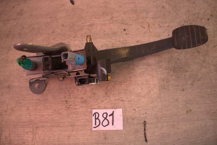 RENAULT SCENIC II POTENCJOMETRY ПЕДАЛЬ ГАЗА, фото 1