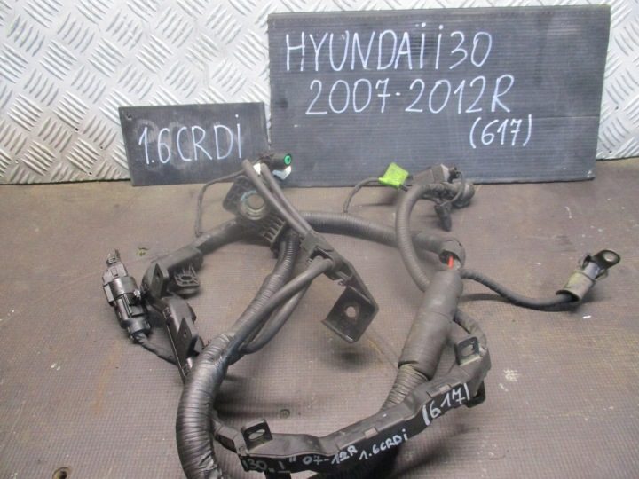ПРОВОДКА ДВИГАТЕЛЯ 91850-2L410 HYUNDAI I30 07-12R, фото 1