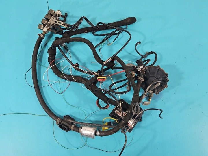 ГБО LPG ГАЗА STAG 4 QBOX BASIC, фото 16