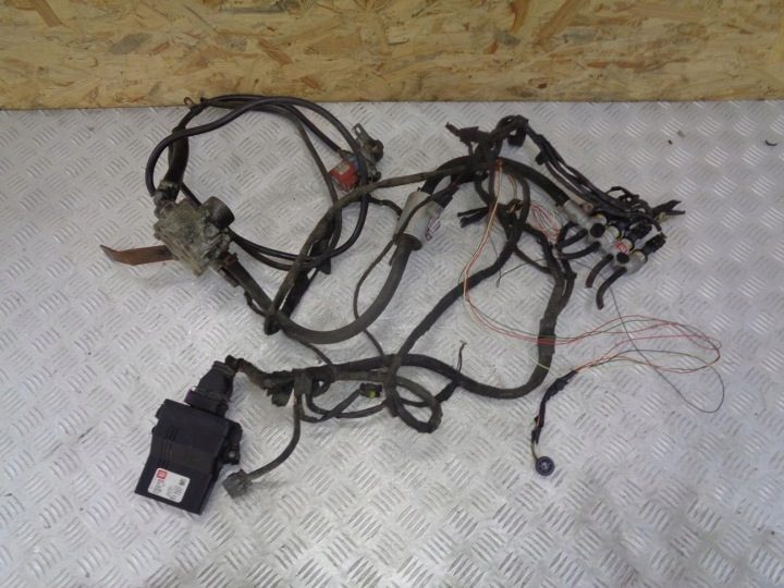 ПРОВОДКА ГАЗ СЕКВЕНЦИЯ ГБО BRC DE817010 4 ЦИЛ., фото 1