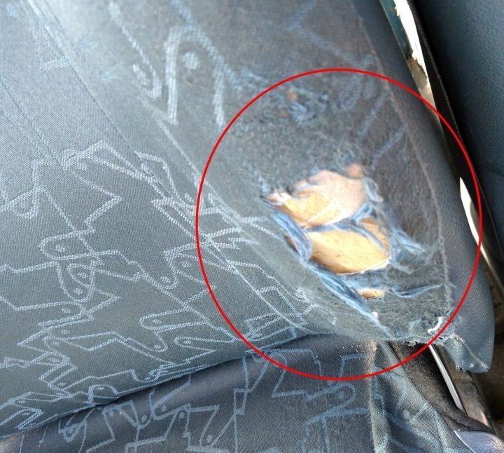 Renault Kangoo I рестайлинг сиденье левое переднее водителя, фото 2