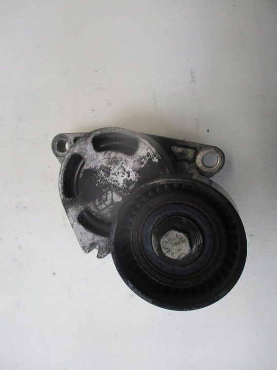 НАТЯЖИТЕЛЬ РЕМНЯ RENAULT MASTER III 2.3 DCI, фото 5