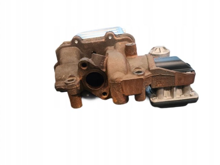 EGR MAN TGE VW California T6 Crafter Multivan T6 Transporter T6, фото 5