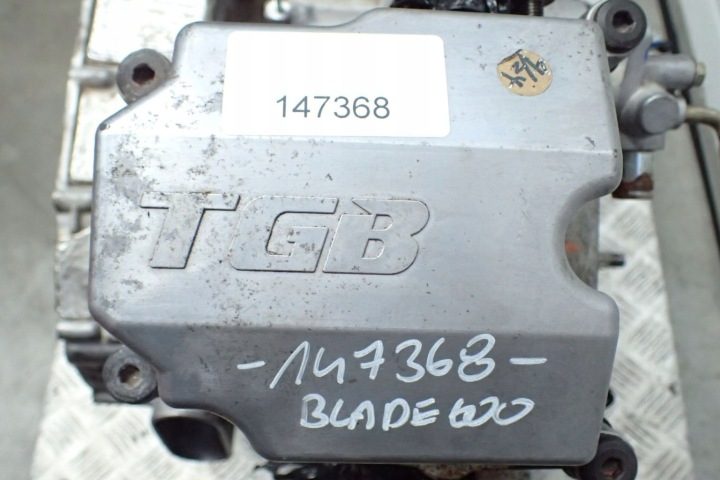 TGB Blade 550 600 Long Двигатель Гарантия 2019 г. 3019 л.с., фото 9