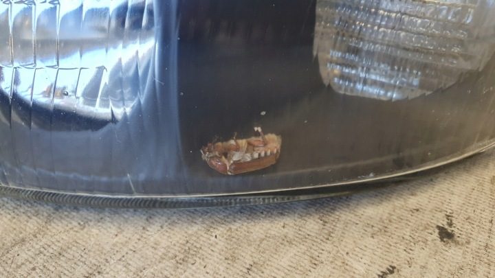 FIAT BRAVO BRAVA ФАРА ПЕРЕДНЯЯ ЛЕВАЯ ЕВРОПА НОВАЯ DEPO, фото 3