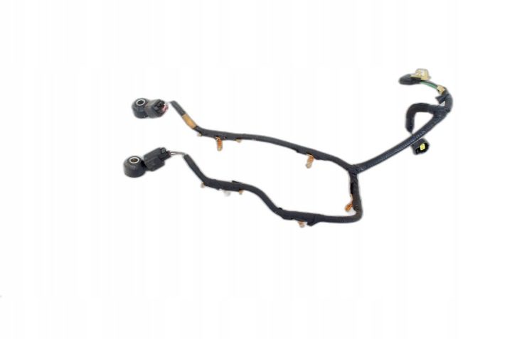 VO414 Jaguar F-Pace x761 3.0 SCV6 Датчики Stukowe Двигателя 1N1A-12A699-A AR, фото 1