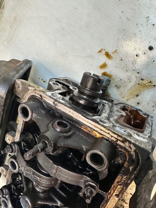 Peugeot OE 9634005010 головка блока в сборе, фото 4