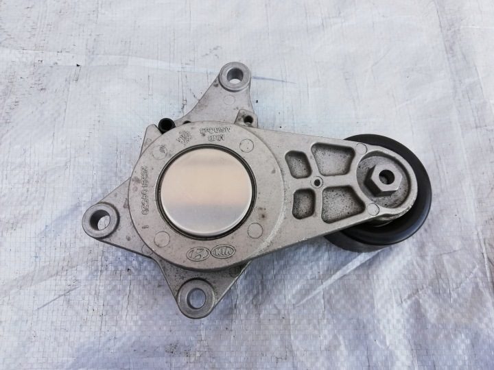 Kia OE 25281-04520 натяжитель ремня ролик, фото 3