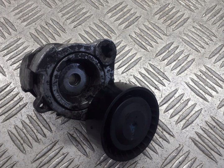 НАТЯЖИТЕЛЬ РЕМНЯ CHEVROLET LACETTI 2.0 TCDI F-556587 96440419, фото 1