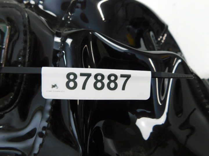 KAWASAKI ER6 BAGSTER, фото 3