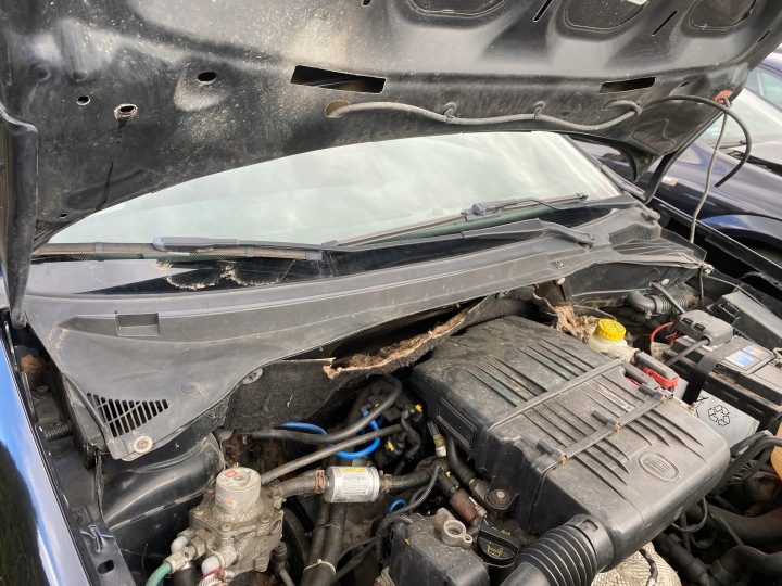 Fiat Grande Punto 05-12 ЖАБО, фото 3
