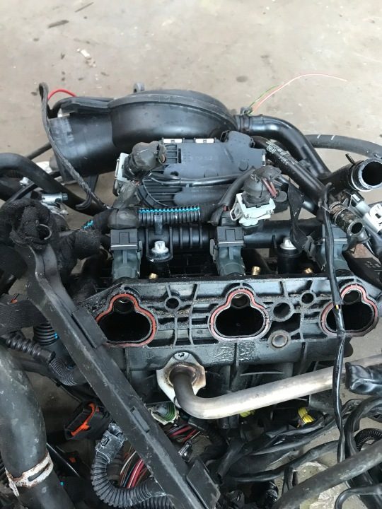 OPEL ГБО D.T GAS СИСТЕМА, фото 2